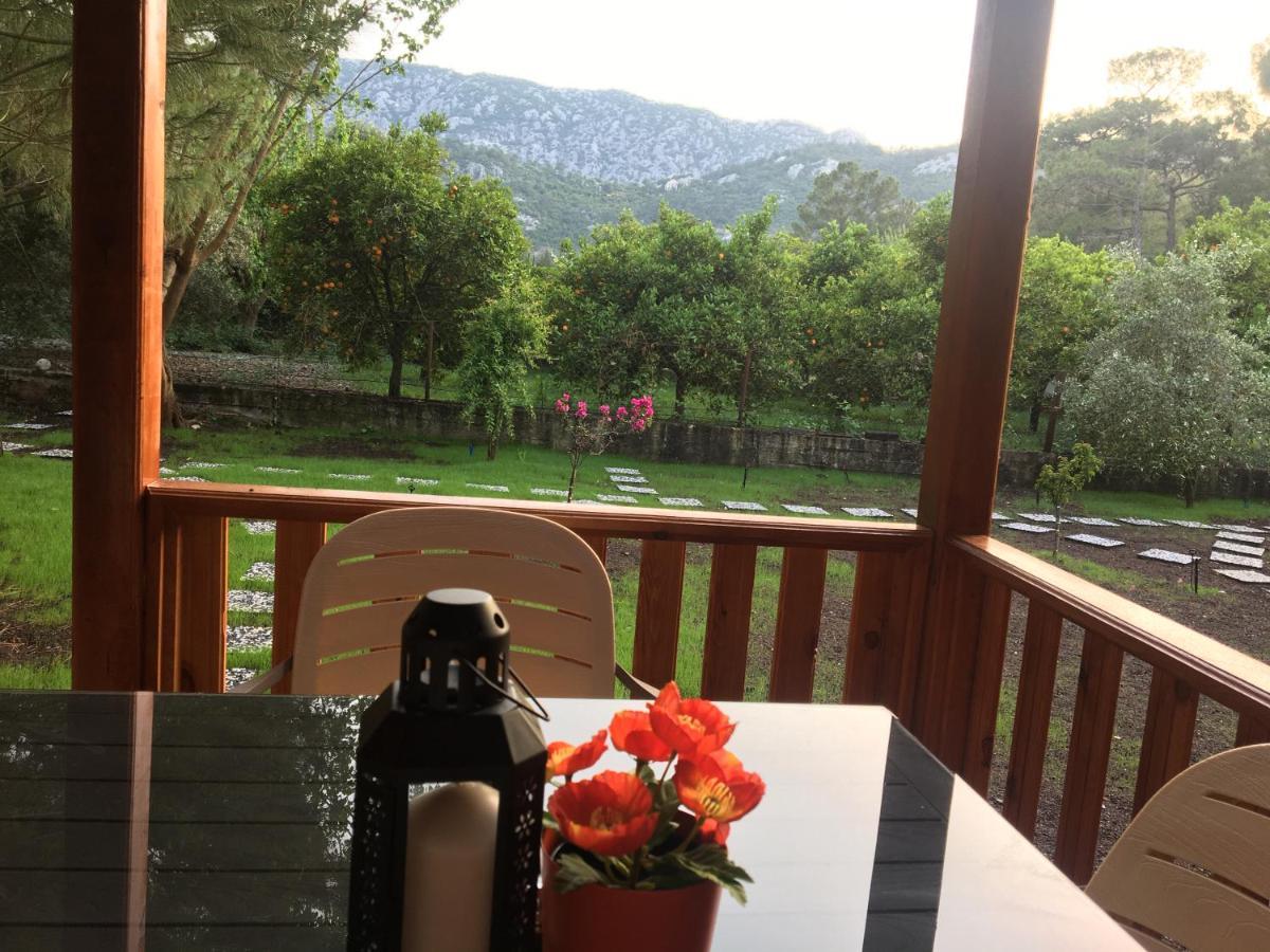 Seker Bungalov Apartment Çıralı Luaran gambar