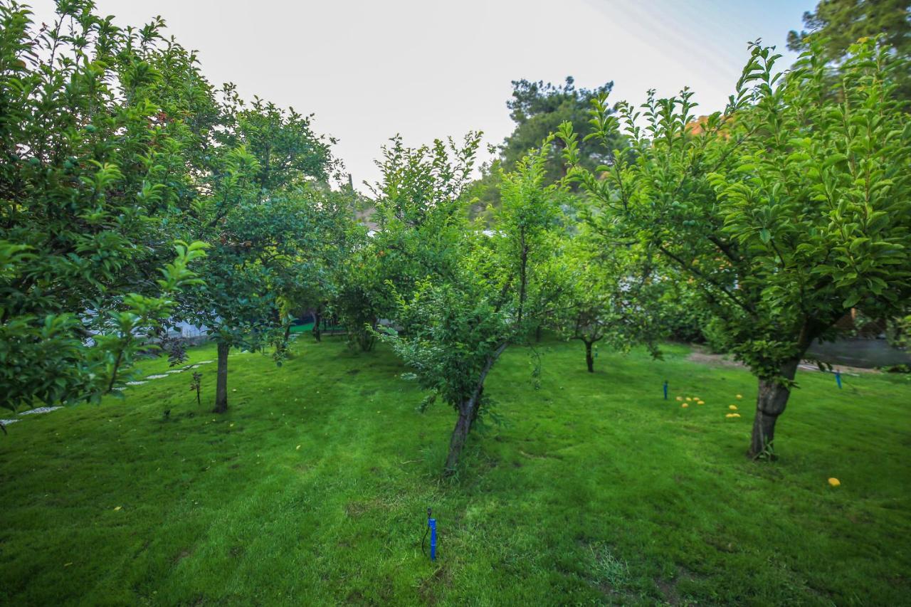 Seker Bungalov Apartment Çıralı Luaran gambar