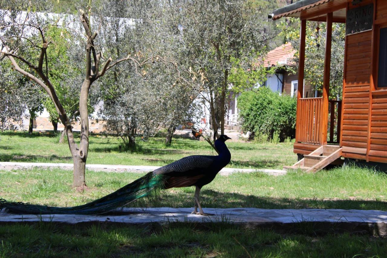 Seker Bungalov Apartment Çıralı Luaran gambar