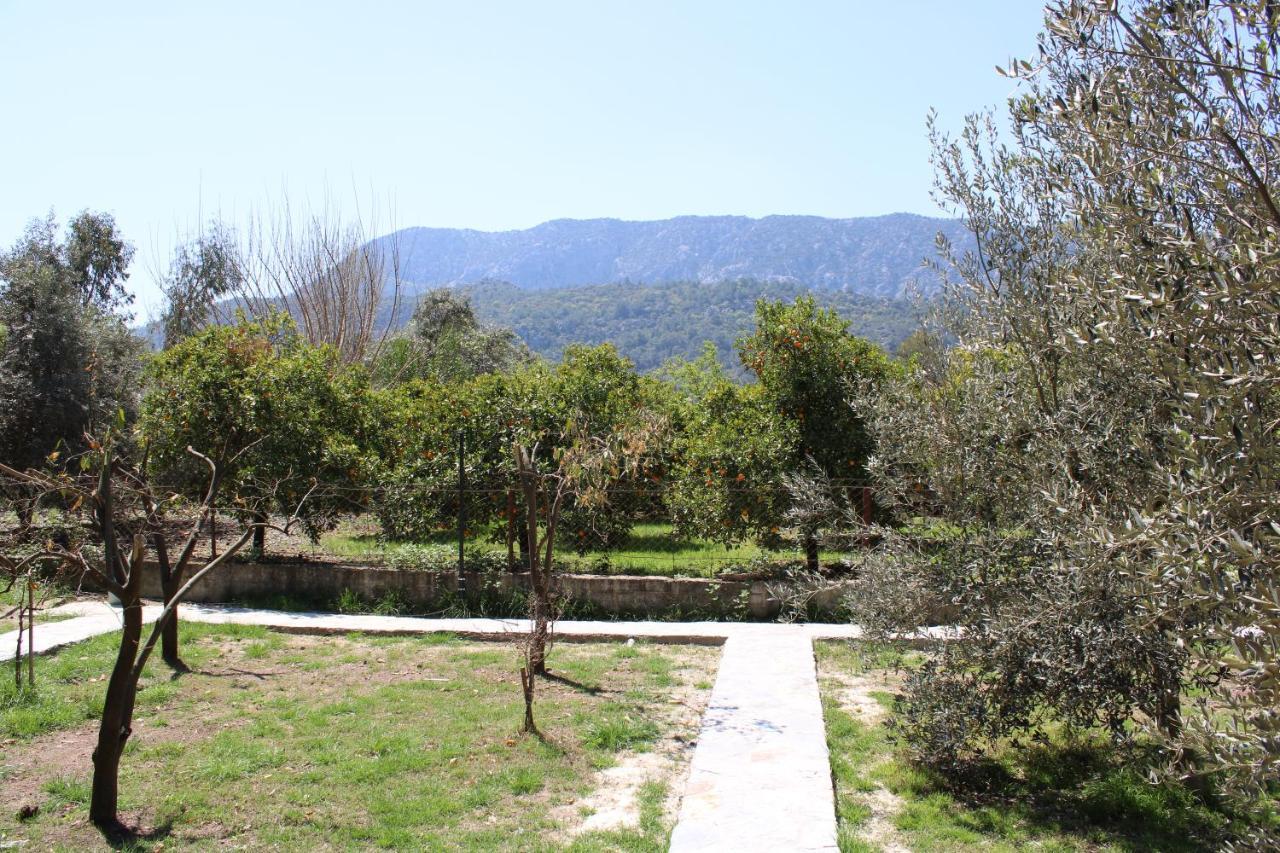 Seker Bungalov Apartment Çıralı Luaran gambar