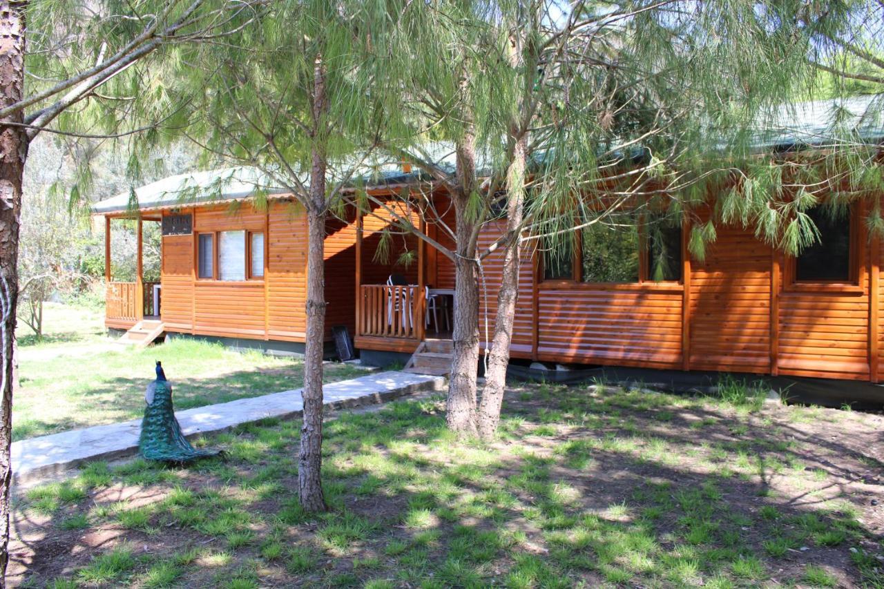 Seker Bungalov Apartment Çıralı Luaran gambar