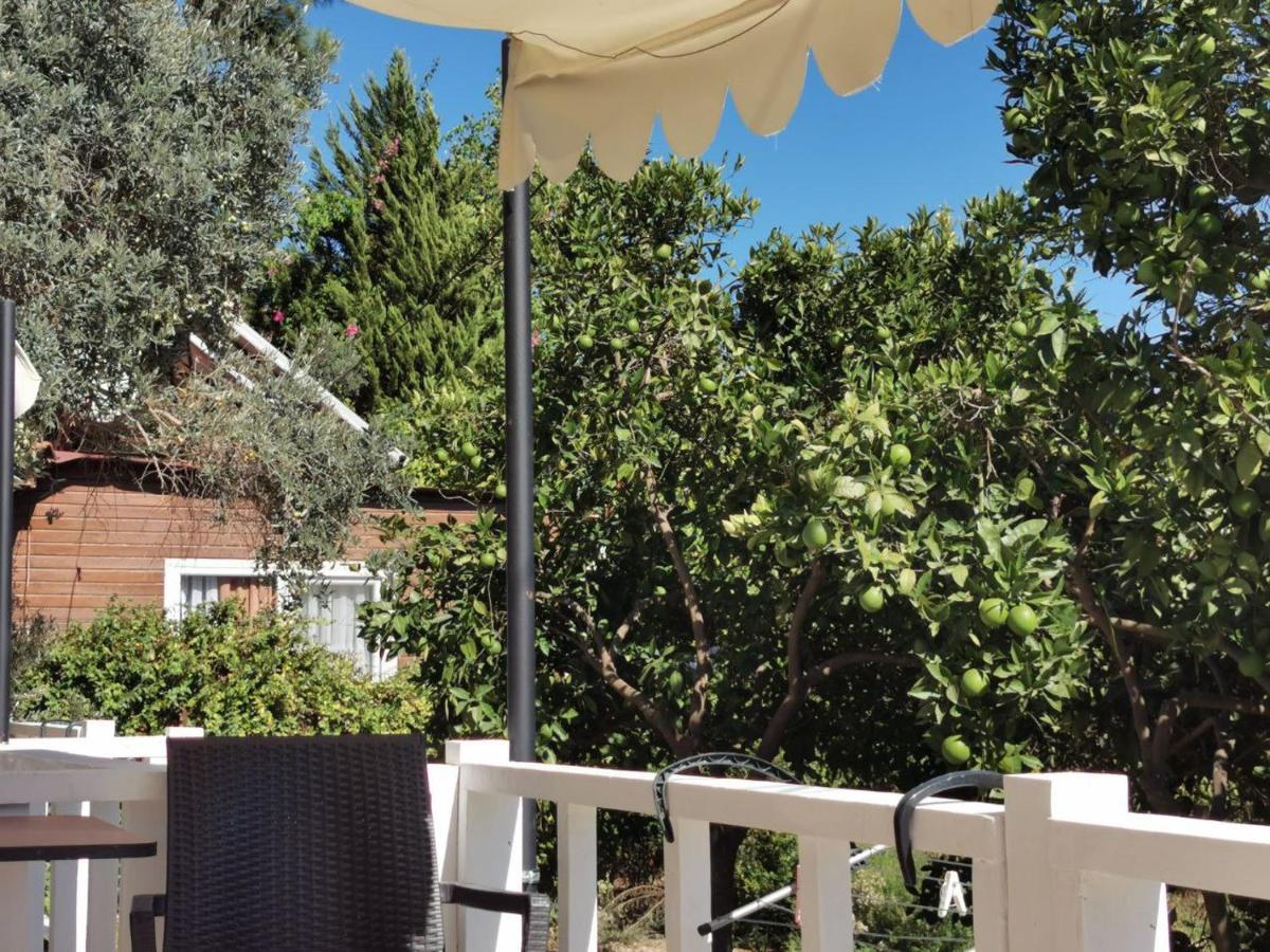 Seker Bungalov Apartment Çıralı Luaran gambar